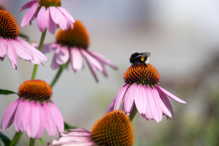 Прогноз погоды в Москве на неделю с 11 по 17 августа: когда закончатся дожди и вернется тепло