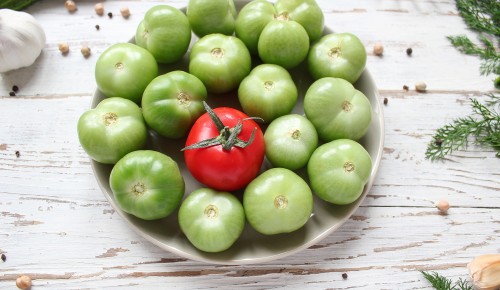 Недозревший урожай или деликатес? Консервируем зеленые томаты с огорода