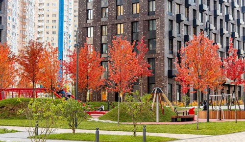 В Ломоносовском районе построят новый жилой дом