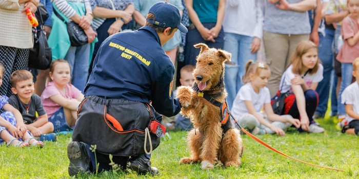 Служебные собаки покажут мастерство в Конькове и Южном Бутове