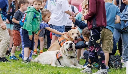 Служебные собаки покажут мастерство в Конькове