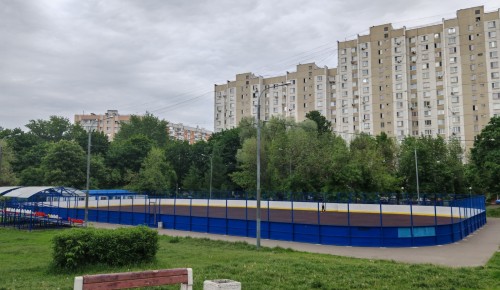 В парке «Два медведя» в Зюзине появится каток с искусственным льдом