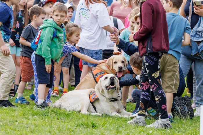 Служебные собаки покажут мастерство в Конькове