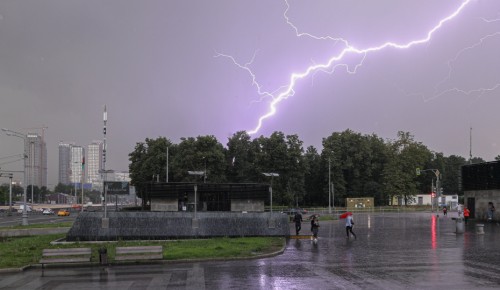 Управление по ЮЗАО Департамента ГОЧСиПБ рекомендует всем ознакомиться с правилами безопасного поведения во время грозы