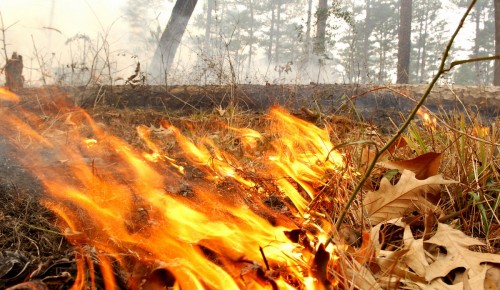 Управление по ЮЗАО Департамента ГОЧСиПБ напоминает всем о запретах и ограничениях в осенний пожароопасный период