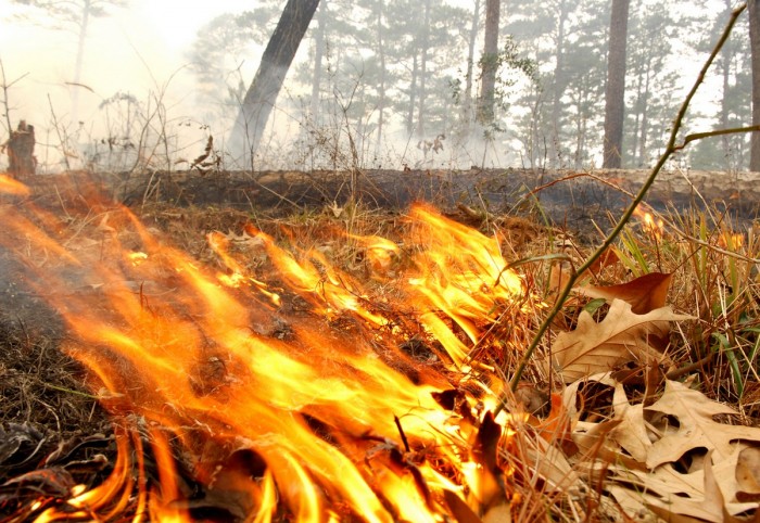 Управление по ЮЗАО Департамента ГОЧСиПБ напоминает всем о запретах и ограничениях в осенний пожароопасный период