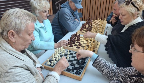 В парке «Сосенки» состоялся турнир «Шахматная битва»