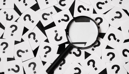 Экоцентр «Битцевский лес» приглашает на викторину о столице 7 сентября