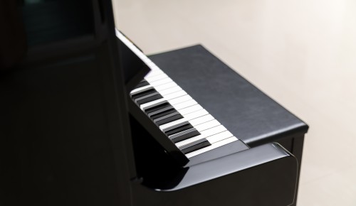 Фортепианный сезон в «Меридиане» откроет концерт учеников профессора Дениса Чефанова