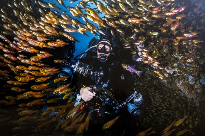 Тайны морских глубин: в Дарвиновском музее открылась выставка «Дикий подводный мир»