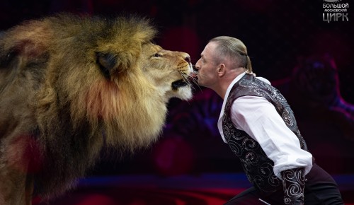 Аскольд Запашный: «Мы создали самый масштабный цирковой проект в истории России»