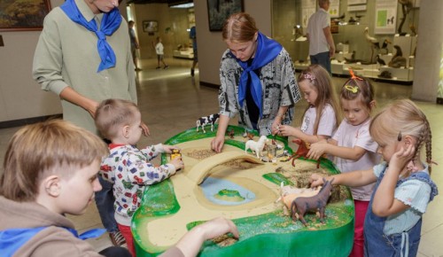 В Дарвиновском музее пройдет «День Дошкольной академии»