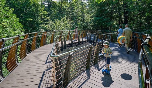 Экотропа в «Битцевском лесу» вошла в тройку лучших маршрутов Москвы по версии горожан