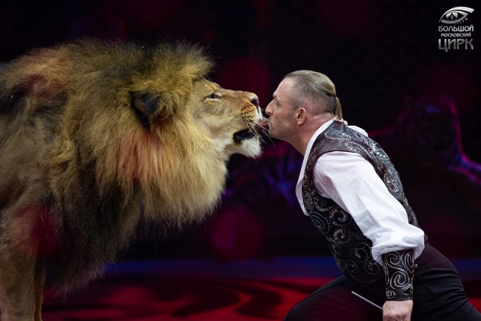 Аскольд Запашный: «Мы создали самый масштабный цирковой проект в истории России»