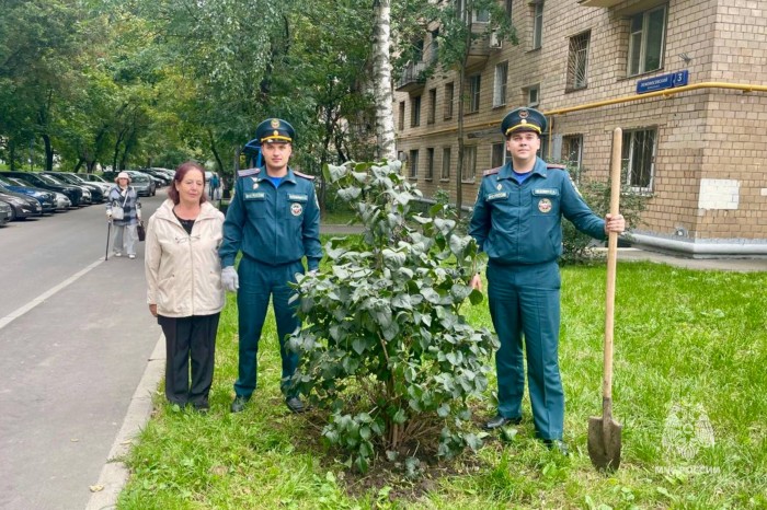 Сотрудники 1 РОНПР Управления по ЮЗАО ГУ МЧС России по г. Москве высадили сирень на придомовой территории в Гагаринском районе