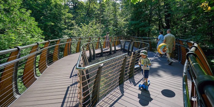 Экотропа в «Битцевском лесу» вошла в тройку лучших маршрутов Москвы по версии горожан