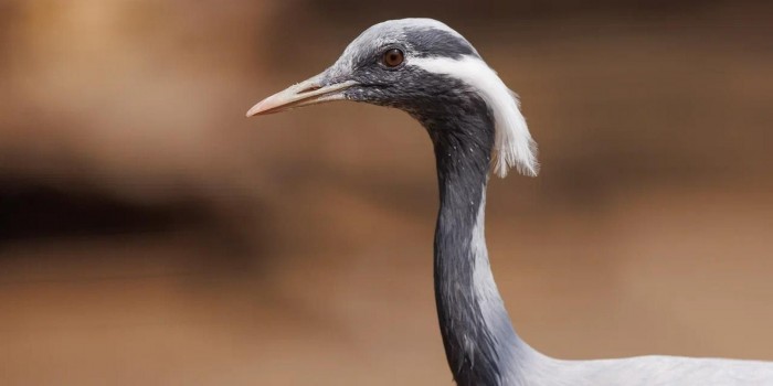 Цикл тематических занятий «МосЭкоОсень» стартует в экоцентрах ЮЗАО