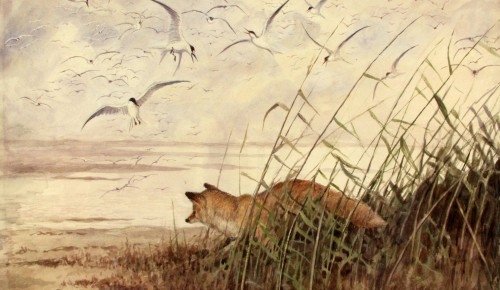 В Дарвиновском музее раскрывают секреты эволюции на выставке «Есть, чтобы жить»