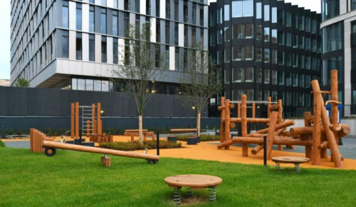 На Ленинском проспекте создали «зеленый квартал» с растениями из российских питомников