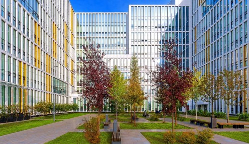 Создание нового каркаса стационарной помощи завершится к 2030 году — Мэр Москвы