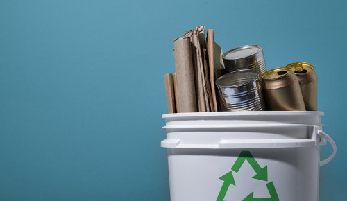 Акция по сбору вторсырья пройдет в районе Ясенево 21 сентября