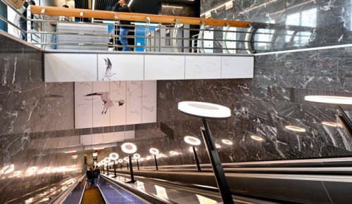 Жителям ЮЗАО рассказали про дизайн-концепции станций «Академическая» и «Вавиловская» Троицкой линии метро