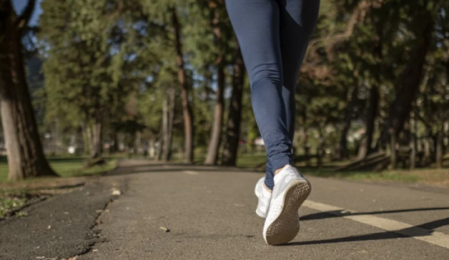 Жителей района Коньково приглашают на пешие прогулки по ЮЗАО