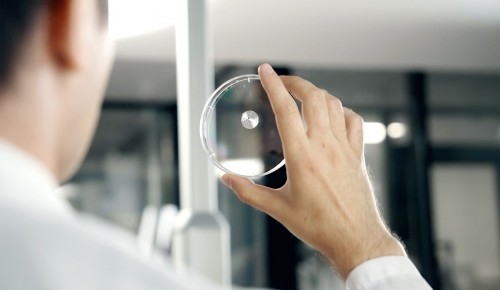 Собянин: Открылся отбор на новую программу по поддержке медисследований