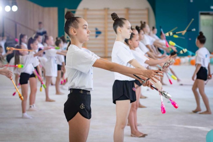 Всероссийский турнир по художественной гимнастике пройдет в Москве 4–5 октября