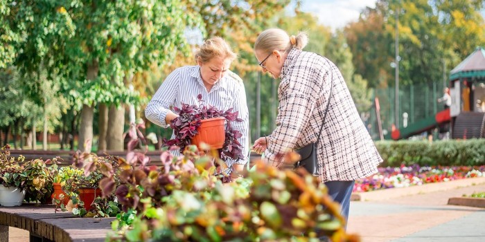 Яркие цветы с фестиваля украсили библиотеки и учреждения ЮЗАО