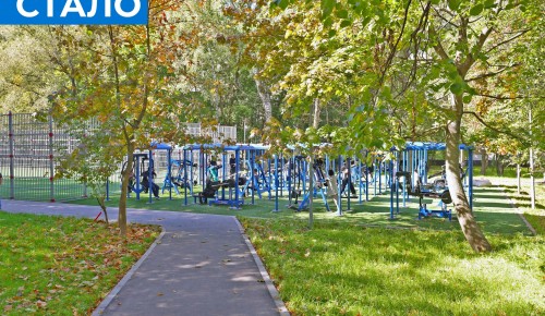 В Теплом Стане благоустроили более 33 гектаров территорий