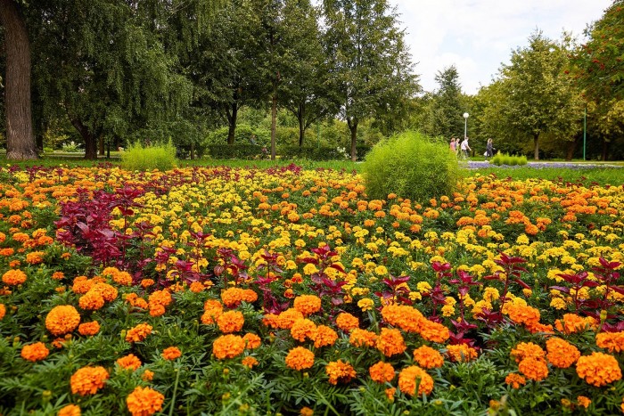 Москвичам рассказали, как сохраняют исторический ландшафт в усадьбе Воронцово