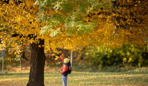 Испытание первым снегом: с 13 по 19 октября в Москву придут заморозки до –2 °C