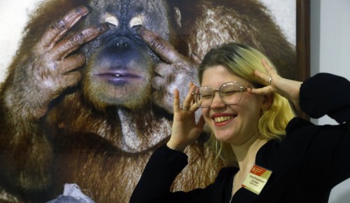 Что на уме у гориллы? В Дарвиновском музее проходит фотовыставка «Приматы»