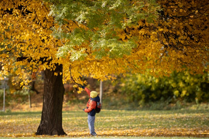 Испытание первым снегом: с 13 по 19 октября в Москву придут заморозки до –2 °C