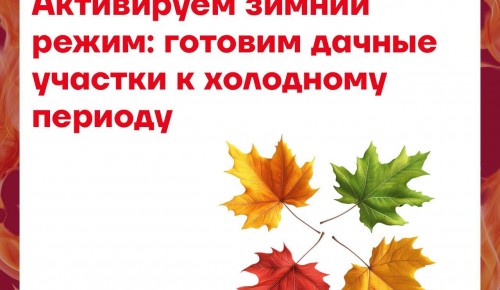 Активируем зимний режим: специалисты напомнили, как подготовить дачные участки к холодному периоду