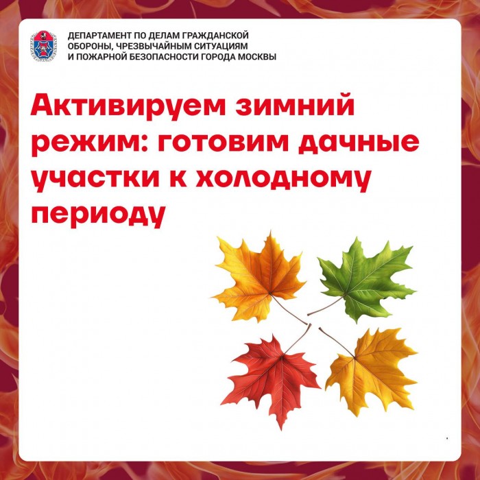 Активируем зимний режим: специалисты напомнили, как подготовить дачные участки к холодному периоду