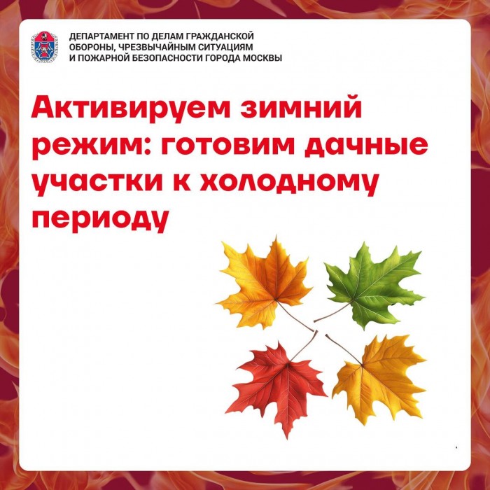 Активируем зимний режим: специалисты напомнили, как подготовить дачные участки к холодному периоду