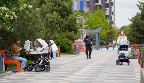 Собянин: Индексация городских соцвыплат в 2026 году будет выше уровня инфляции