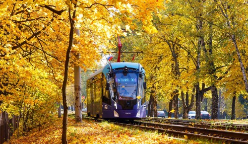 Собянин рассказал о подготовке к выходу на маршруты беспилотных трамваев