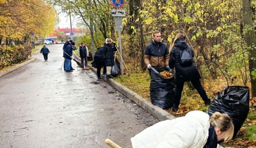 В Теплом Стане провели субботник