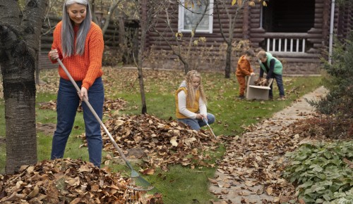 Сад уснул, но работа кипит: главные секреты дачников, которые спасут деревья зимой