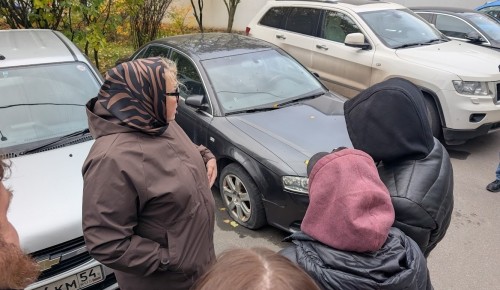 Глава управы Конькова провела обход по улицам Введенского и Миклухо-Маклая