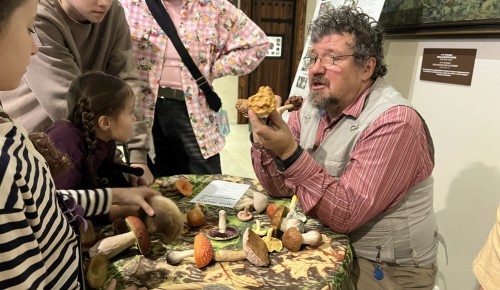 Жуки, грибы и дух леса: Дарвиновский музей провел традиционный День лешего