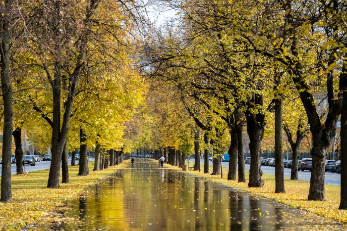 Осенний финал: с 27 октября по 2 ноября Москву ждут дожди и плавное похолодание