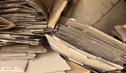 Школа №2115 подвела итоги экологической акции «Бумажный БУМ»