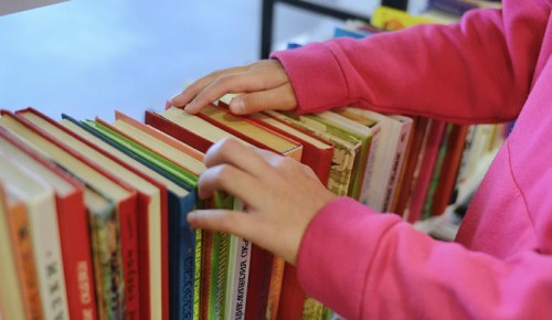 Библиотека №192 приглашает школьников на интерактивную программу, посвященную Астрид Линдгрен