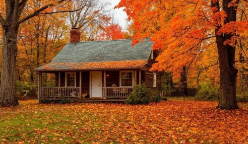 Сотрудники МЧС дали рекомендации по консервации дачных участков к зимнему периоду