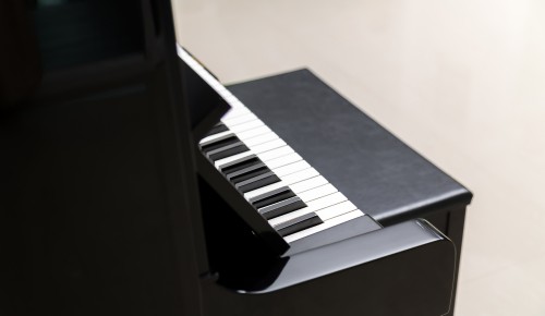 В библиотеке №169 «Проспект» состоится концерт 8 ноября