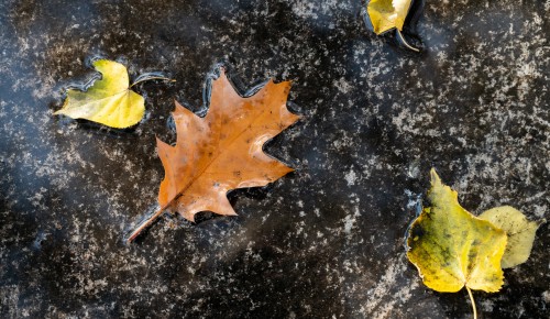 Магнитные бури в ноябре: что делать метеочувствительным людям